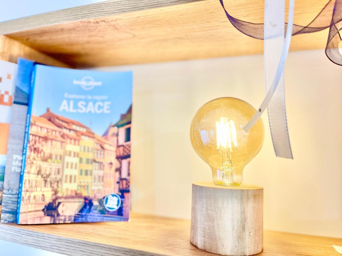 Le Rosacker: City Center Retreat with Terrace and Free Parking Colmar Exterior photo